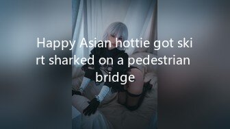 Happy Asian hottie got skirt sharked on a pedestrian bridge