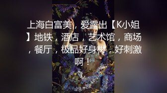 上海白富美，爱露出【K小姐】地铁，酒店，艺术馆，商场，餐厅，极品好身材，好刺激啊！