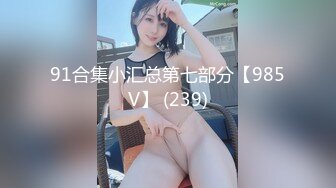 91合集小汇总第七部分【985V】 (239)