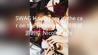 SWAG Having sex in the car on the parkway  与同伴郊游时性 Nicoledoshi