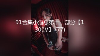 91合集小汇总第十一部分【1300V】 (77)