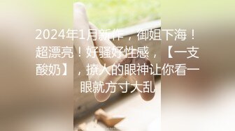 2024年1月新作，御姐下海！超漂亮！好骚好性感，【一支酸奶】，撩人的眼神让你看一眼就方寸大乱