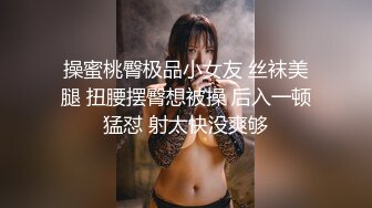 操蜜桃臀极品小女友 丝袜美腿 扭腰摆臀想被操 后入一顿猛怼 射太快没爽够