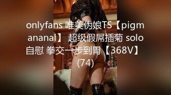 onlyfans 唯美伪娘TS【pigmananal】 超级假屌插菊 solo自慰 拳交一步到胃【368V】 (74)