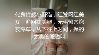 化身性感小野猫，红发网红美女，渔网袜美腿，无毛骚穴炮友爆草，从下往上时间，操的太爽的嗷嗷叫