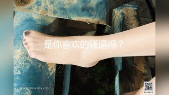 是你喜欢的骚逼吗？