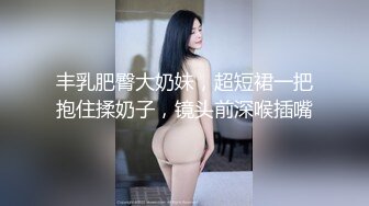 丰乳肥臀大奶妹，超短裙一把抱住揉奶子，镜头前深喉插嘴