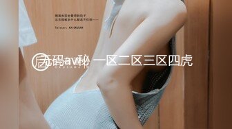 无码av秘 一区二区三区四虎