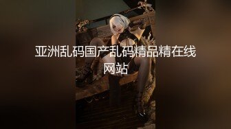 亚洲乱码国产乱码精品精在线网站