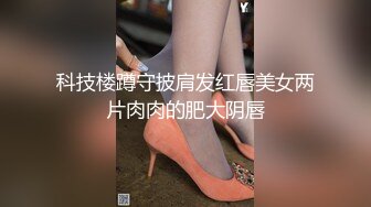 科技楼蹲守披肩发红唇美女两片肉肉的肥大阴唇