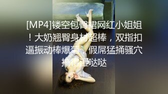 [MP4]镂空包臀裙网红小姐姐！大奶翘臀身材超棒，双指扣逼振动棒爆菊，假屌猛捅骚穴搞得湿哒哒