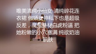 唯美清纯小仙女 清纯碎花连衣裙 傲娇女神私下也是超级反差，魔鬼身材白虎粉逼 把她粉嫩的小穴塞满 纯欲奶油肌肤