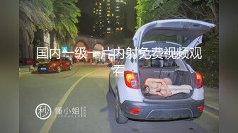 国内一级一片内射免费视频观看