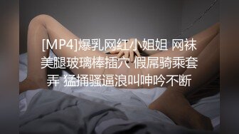 [MP4]爆乳网红小姐姐 网袜美腿玻璃棒插穴 假屌骑乘套弄 猛捅骚逼浪叫呻吟不断