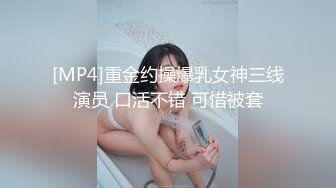 [MP4]漂亮小姐姐乳房又大又白又挺沙发啪啪视角完美展示